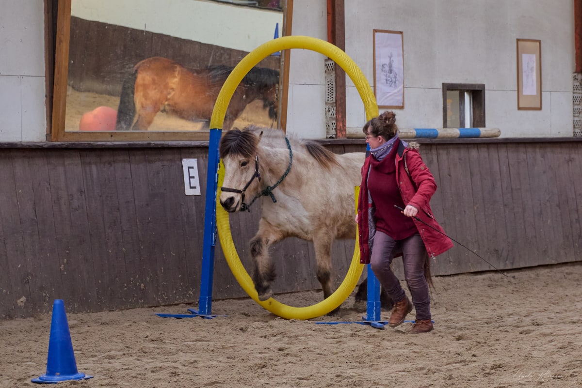 Zirkuskurs mit Heidi Hafen