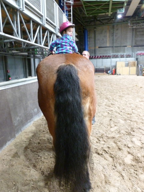 kleines Kind auf großem Pferd