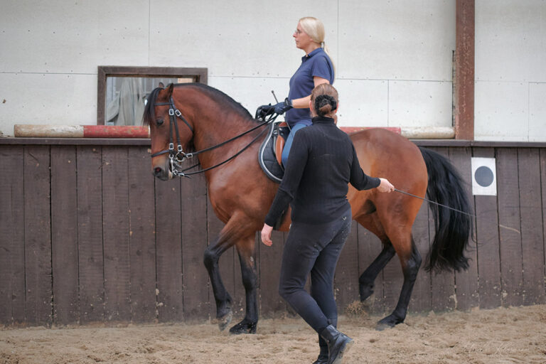 Andrea-Kurs 5./6.10.2024