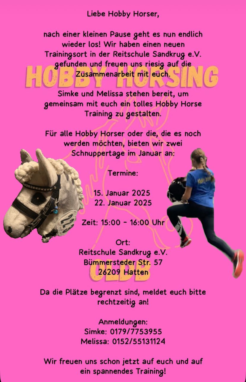 Flyer Hobby Horsing