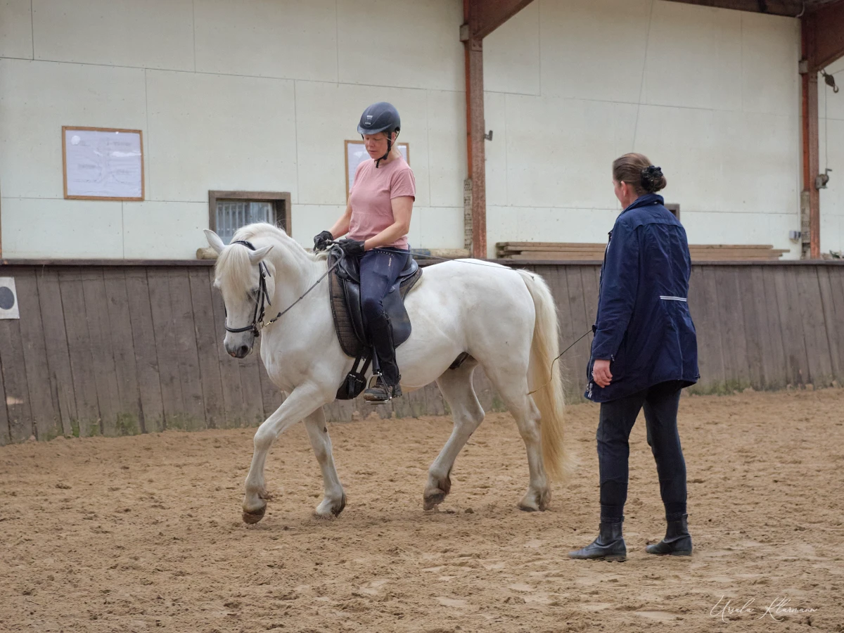 Andrea-Kurs Reitschule Sandkrug Foto U. Klarmann
