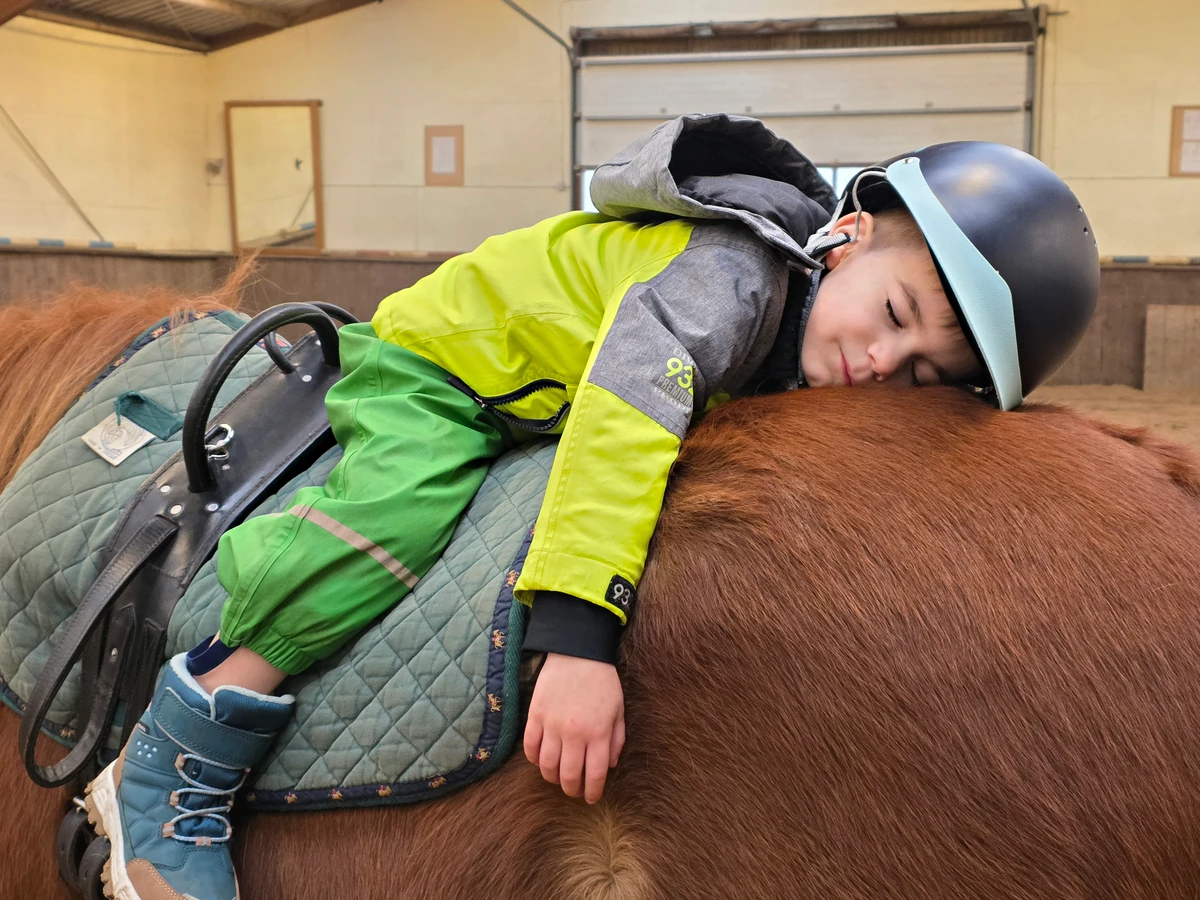 Kind schläft auf Pferderuecken