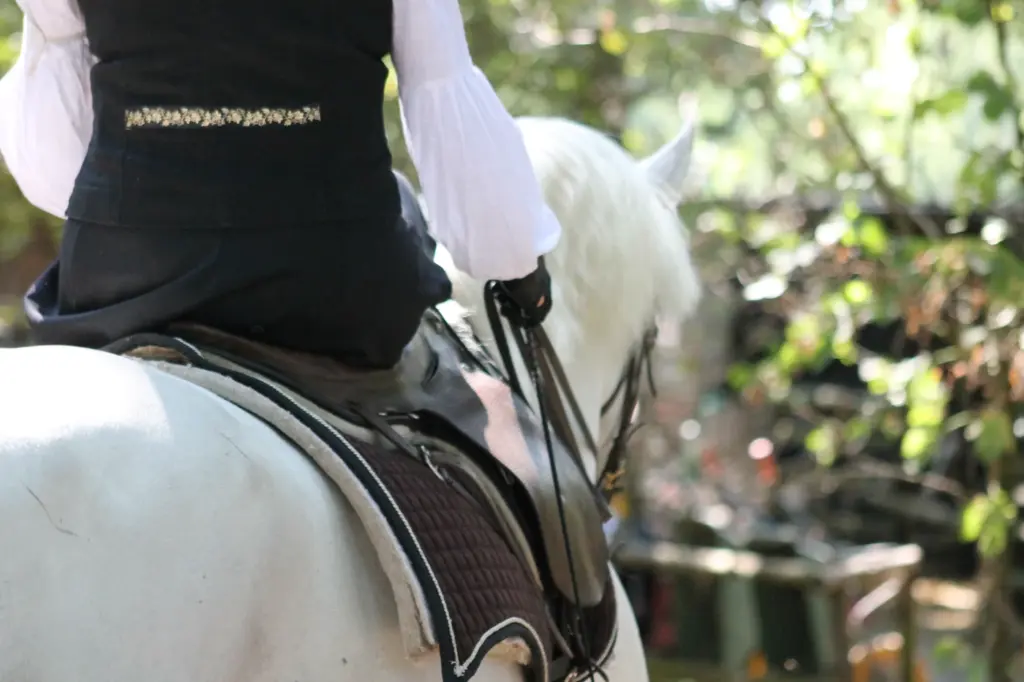 Reiterin im Damensattel auf Schimmel