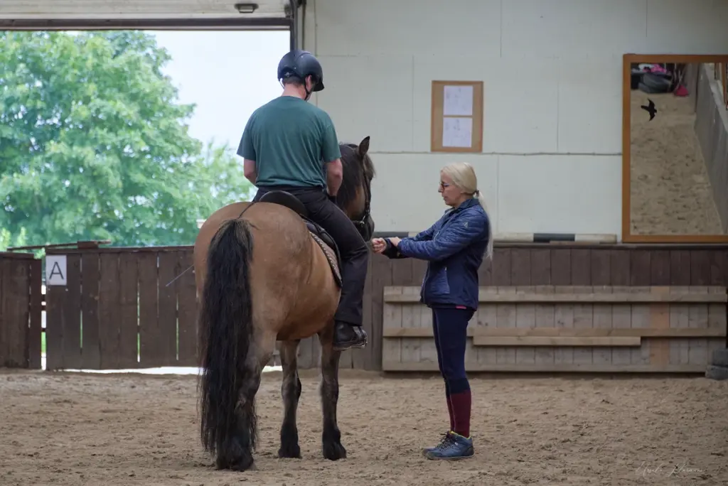 Reitunterricht 26